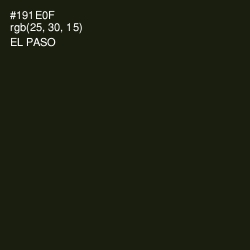 #191E0F - El Paso Color Image